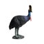 Loading Image 1 of 5