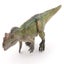 Loading Image 1 of 6