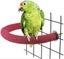 Loading Image 1 of 5