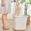 Rotary Dryer Clothes Peg Socks 36 Clothes Pegs Plastic Hanger For Underwear Carousel 2
