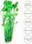 2 Pcs Large Aquarium Aquatic Plant Decoration Plastic Artificial Aquatic Plan Carousel 3