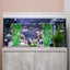 2 Pcs Large Aquarium Aquatic Plant Decoration Plastic Artificial Aquatic Plan Carousel 5