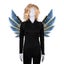 Halloween Costume Wings Unique Halloween Decoration Steampunk Wings Halloween Carousel 2