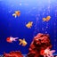 50 Pcs Aquarium Plastic Artificial Fishes Realistic Orange Goldfish Fake Fish Carousel 4