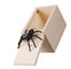 Loading Image 2 of 5