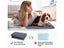 PTN NEW Dog Pee Pad Sale Sale Sale Carousel 10