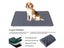 PTN NEW Dog Pee Pad Sale Sale Sale Carousel 12