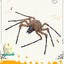 Halloween Decor Spider Ornament Outdoor Decorations Hairy Spider scary Giant S Carousel 4