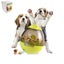 Pet Tumbler Leaking Food Ball Toy Pet Puzzle Toy Dog Slow Feeding Tool Cat Fee Carousel 4