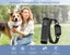 Dog Collar Sale Sale Carousel 4