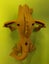 Monsters vs Aliens toy, The Missing Link (McDonalds 2009, DreamWorks) Carousel 3
