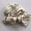 Vintage Embroidered Floral Trim Sewing Crafts Haberdashery Carousel 10