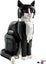 Lego Ideas Tuxedo Cat 21349 Carousel 2