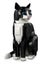 Lego Ideas Tuxedo Cat 21349 Carousel 4