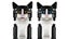 Lego Ideas Tuxedo Cat 21349 Carousel 5