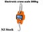PTN NEW Crane Scales Sale Sale Carousel 1