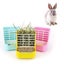 Plastic Rabbit Feeder Guinea Pig Hay Feeder Guinea Pig Hay Feeder Chinchilla F Carousel 3