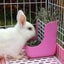 Plastic Rabbit Feeder Guinea Pig Hay Feeder Guinea Pig Hay Feeder Chinchilla F Carousel 4