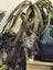 Kitty Haven - Torbie Carousel 5