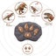 Remote Control Dinosaur Toys For Kids Light Up And Realistic Roaring Sound Tyr Carousel 3