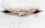 $900 10ct Rose Gold Diamond Dress Ring TCW 0.09ct!! Size N½ - 173099 Carousel 3