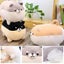 Fat Tiger Figure Pillow Cylindrical Cartoon Animal Plush Doll Super Gift For K Carousel 2