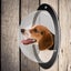 Dog Fence Window Carousel 5
