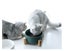 850ml Pet Bowl Feeder Ceramic Pet Bowl Feeder adorable Feeder Water Feeder Carousel 1