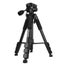 Loading Image 1 of 5