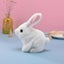 Educational Interactive Toys Bunnies Can Walk And Talk Stuffed Bunny Toy Walki Carousel 2