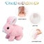 Educational Interactive Toys Bunnies Can Walk And Talk Stuffed Bunny Toy Walki Carousel 4