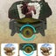 Kids Dinosaur Projector Watch With 24 Patterns Learning Toy Flashlight Toys Gi Carousel 4