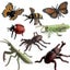 Loading Image 1 of 5
