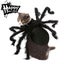 Halloween Spider Costume Halloween Pet Decoration Pet Decoration Dress Up Acce Carousel 2