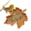 Loading Image 4 of 4