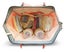 Nappy Backpack Nappy Bags Carousel 7