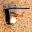 Feeding Bowl Reptile Feeder Double Reptile Feeding Cups Plastic Suction Cup F Carousel 3