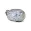Seal Doll Pillow Aquarium Popular Animal Soft Seal Pillow Aquarium Plush Toy Carousel 1