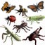 Loading Image 1 of 5