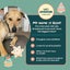 Auckland Puppy Rescue - ROXY Carousel 3