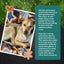 Auckland Puppy Rescue - ROXY Carousel 6