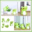 5pcs Baby Bath Toys frogs Tub Bathing Floating Squeaky Baby Wash Shower Toy Carousel 2