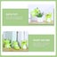 5pcs Baby Bath Toys frogs Tub Bathing Floating Squeaky Baby Wash Shower Toy Carousel 3