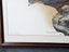 Framed, Signed, Ltd Edition Print. NZ Falcon # 244 of 1,000 by Janet Marshall. Carousel 4
