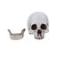 Skull Statue Halloween Decoration Model Replica Resin Medical Anatomical Traci Carousel 4