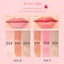 3PCS Lip Oil Hydrating Plumping Lip Coat For Lipstick Lipgloss Tinted Lips Glow Carousel 10