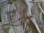 Tarnish Mans Grey Shirt sz M Carousel 3