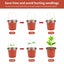 Pack of 30 Plant Nursery Pots with Humidity Dome Carousel 4