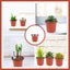 Pack of 30 Plant Nursery Pots with Humidity Dome Carousel 7