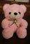 NEW Shark Bear Gift for Someone Special - Pink Bear & Blue Shark Hoodie Carousel 5